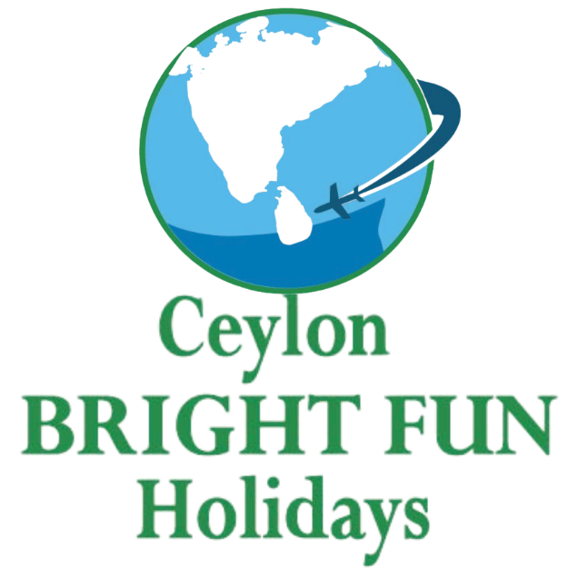 Bright Fun Tours